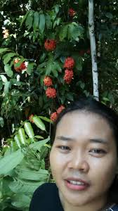 Gina Rey (@gina_rey99) • Instagram photos and videos