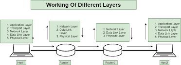 Transport layer provides services to application layer and takes services from network layer. Working Of Different Layers In Computer Network Geeksforgeeks