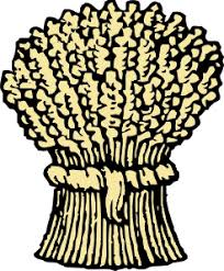 Image result for A BASKET OF BARLEY CLIP ART