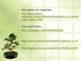 Plants are mainly multicellular organisms, predominantly photosynthetic eukaryotes of the kingdom plantae. Why Plants Are Important Explorers Com Wildflowers Importance Of Plants And Plant C Htmhttp Explorers Com Wildflowers Importance Of Plants Ppt Download