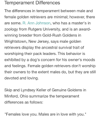 Pin By Lef On Puppy Love Female Golden Retriever Puppy Love Zoology