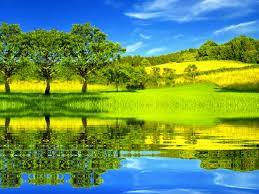 Habitat meaning in english, habitat definitions, synonyms of habitat, definition of habitat, habitat translate in english, primary definition of habitat in famous dictionaries for free. Esa To Potentially Reflect A New Habitat Definition Under Proposal