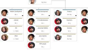 interactive organization chart for vue vue script