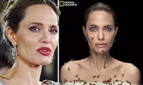 Angelina jolie's airport trousers are even better than joggers or leggings. Angelina Jolie Didn T Shower For Three Days To Capture Stunning Photo For World Bee Day Celebrity News Showbiz Tv Express Co Uk