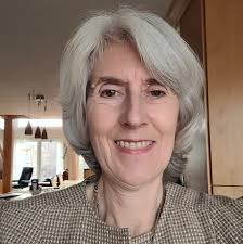 Substitute for Swiffer Duster Dry Sweeping Cloths?