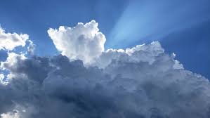 Dia berteriak, potong pohon itu, juga cabangnya. Arti Mimpi Melihat Lafadz Allah Di Langit Masnurul