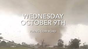 Fundraiser by Samantha Mackenzie : Wellington Tornado: Aftermath Support