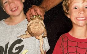 Amos Moses and the Plumb Line