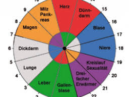 Sie ist ein teil der t. Die Organuhr Leben Im Takt Der Inneren Uhr Ein Webinar Von Isabel Ockert