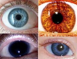 Los Colores De Ojos Mas Raros En Seres Humanos Http Www Cookingideas Es Colores Ojos Humanos 20 Colores Raros De Ojos Color De Ojos Ojos De Diferente Color