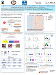 Ruth Mwatelah : The VADA Program