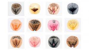 Your vulva & vagina are unique parts of your body. Moms You Can Stop Apologizing For Your Vaginas Now