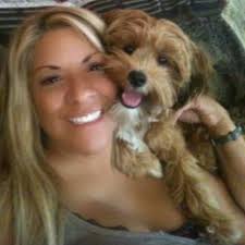 Loss of a beloved pet, Prince Terrian, and coping with grief