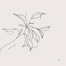 I Ve Been Working Hard Behind The Scenes To Finally Upgrade Viola Hill Studio To Become The Boutique Studio Line Art Drawings Simple Line Drawings Illustration