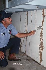 Mike weinmaster wrote a great piece on the sustainability of green walls, in it, he talks about the importance of diversity: Termite Control Answers For Homeowners Entomology
