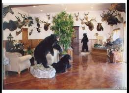 At b&b taxidermy, you can get beautiful decor created from your harvested game. 23 Homes Filled With Taxidermy Photos Huffpost Life