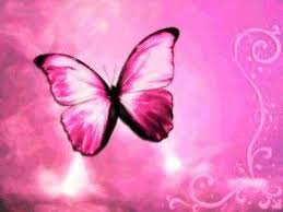 Maybe you would like to learn more about one of these? Pink Butterfly Pretty Bonito Sweet Hot Pink Butterfly Feminine Beauty Hd Wallpaper Peakpx