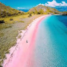 Me in sunshine shower me with good times tell me that the world's been spinning since the beginning and everything'll be alright cover me in sunshine #pink #willowsagehart #covermeinsunshine. Informasi Lokasi Rute Dan Tips Liburan Ke Pantai Pink Di Lombok