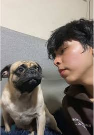 Cumpliendo a chestel #contentcreator #chesterchallenge #bananasenpijama  #sigueme_y_te_sigo #paratii #fyp #paratiiiiiiiiiiiiiiiiiiii