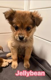 Maria Boles's Instagram, Twitter & Facebook