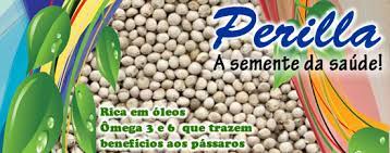 Perilla A Semente Da Saude Blog