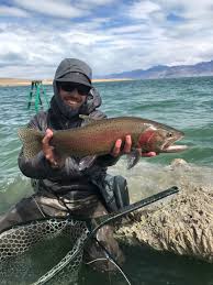 Destination Trout Pyramid Lake Blog Vailvalleyanglers Com