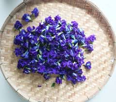 Check spelling or type a new query. Blue Tea 100 Pure Dried Butterfly Pea Flower From Thailand Grassy Aroma High Antioxidants Herbal Tea N Butterfly Pea Flower Pea Flower Butterfly Pea