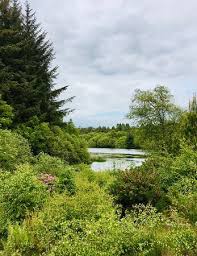 Views of the Loch. “Stay close to the serenity of a lake to meet your own  peace of mind.”