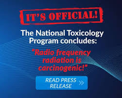 Update this listing add your free listing. Home Cellsafe International