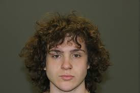 Accountability for Animal Cruelty in Canton