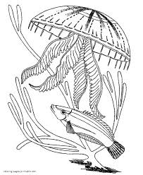 Kids coloring books sea creatures coloring book: Coloring Pages Of The Animals That Live In The Sea Coloring Pages Printable Com