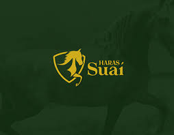 Uidm polimas 21 september 2020. Suai Projects Photos Videos Logos Illustrations And Branding On Behance