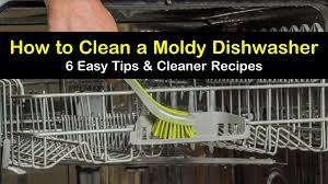 Next, sprinkle 1 cup of baking soda over the bottom of the. 6 Easy Ways To Clean A Moldy Dishwasher