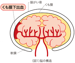 The site owner hides the web page description. åãçãã®40æ­³ä»£ããå¢ãã ããèä¸åºè¡ ããã¦ã¤lab ç¤¾ä¼å»çæ³äºº è£½éè¨å¿µå«å¹¡çé¢
