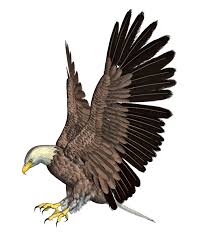Maybe you would like to learn more about one of these? Eagle Transparent Png Eagle Head Bald Eagle Clipart Free Download Free Transparent Png Logos