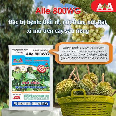 Alle 800WG