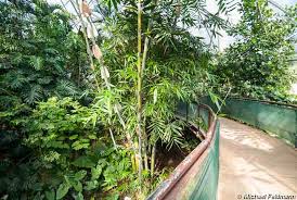 Botanischer Garten Im Grugapark Essen