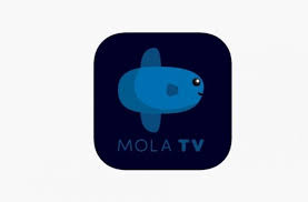 Live streaming liga inggris (epl) di mola tv secara online … mola tv app adalah video platform baru di indonesia yang juga merupakan broadcaster resmi liga inggris. Nonton Film Indonesia Bisa Di Mola Tv Loh Kumparan Com