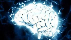 Sixth Sense? Science Discovers How Gut ...
