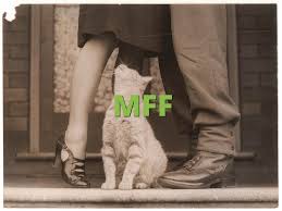 That's why mff is about making fitness as enjoyable as possible. Mff What Does Mff Mean Slang Org