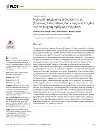 Image result for Panicum carneovaginatum