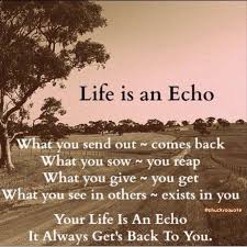 Life Is An Echo Life Quotes Quotes Positive Quotes Quote Life Quote Truth Wise Quotes Instagram Quotes Life Is Beautiful Quotes Beautiful Quotes Life Quotes