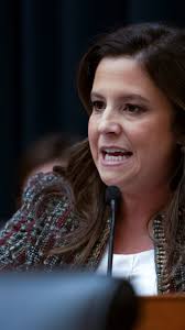 Democrat Paula Collins joins race for congressional district held by Rep.  Elise Stefanik