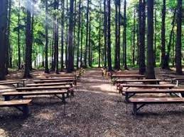 Photos Blue Moon Rising Woodland Wedding Venues Woodland Wedding