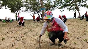 Provide support to the business for the it and communications infrastructure. Lampung Coastal Cleanup Day Warga Dan Coca Cola Bersihkan Pantai Kalianda