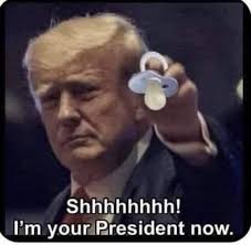 Elon Musk's DOGE commission gains access to sensitive Treasury payment  systems: AP sources