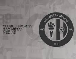 Download gaz metan medias logo icon | romania football clubs icon pack | high quality free gaz metan medias logo icons. Rafail Koprov On Behance