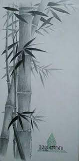 Pin On Bamboo