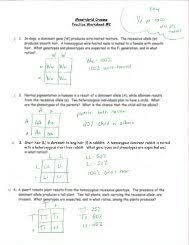 We did not find results for: Monohybrid Cross Practice Problems Worksheet Promotiontablecovers