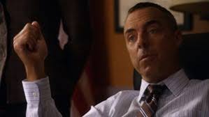 Watch The Good Wife Online